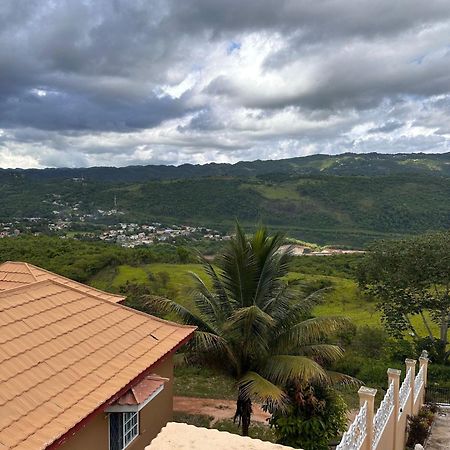 Lion'S View Bed & Breakfast 맨더빌 외부 사진