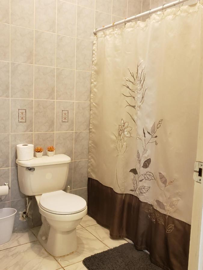 Lion'S View Bed & Breakfast 맨더빌 외부 사진