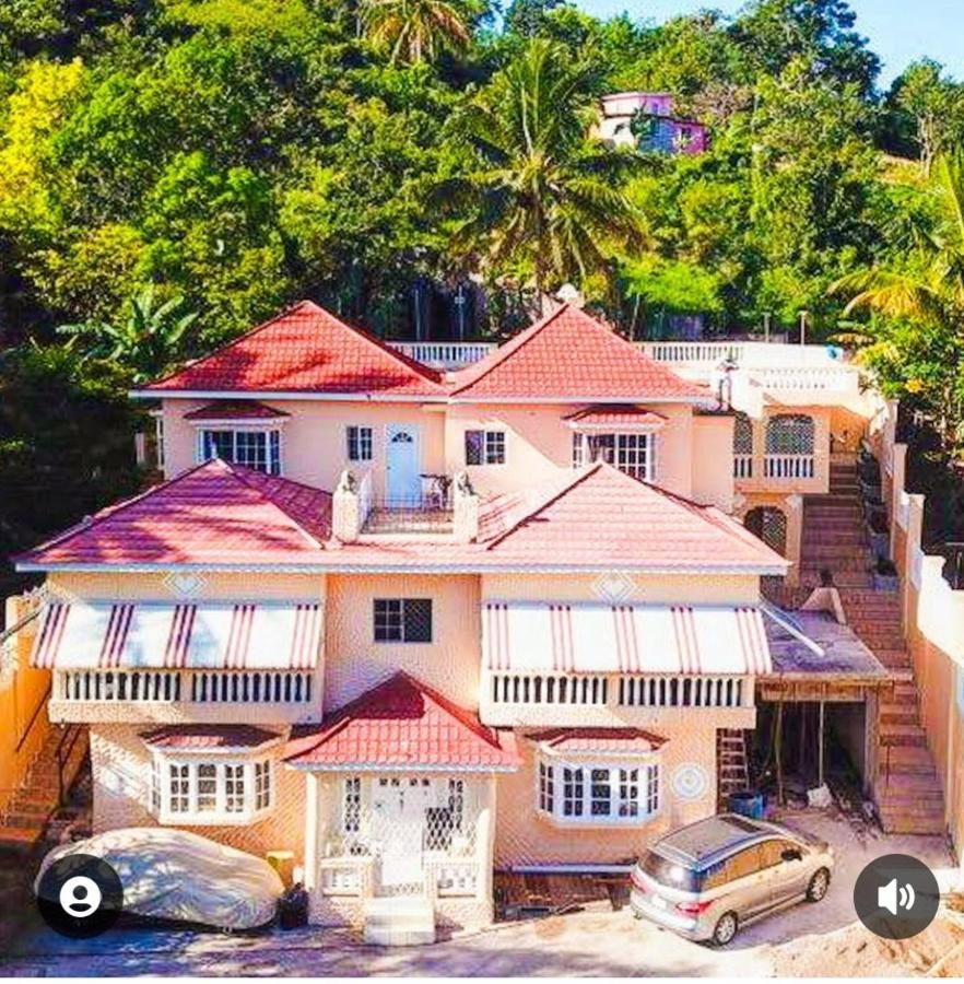 Lion'S View Bed & Breakfast 맨더빌 외부 사진