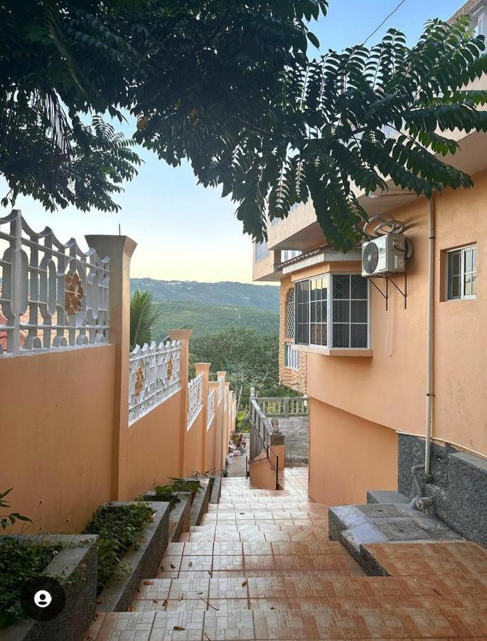 Lion'S View Bed & Breakfast 맨더빌 외부 사진