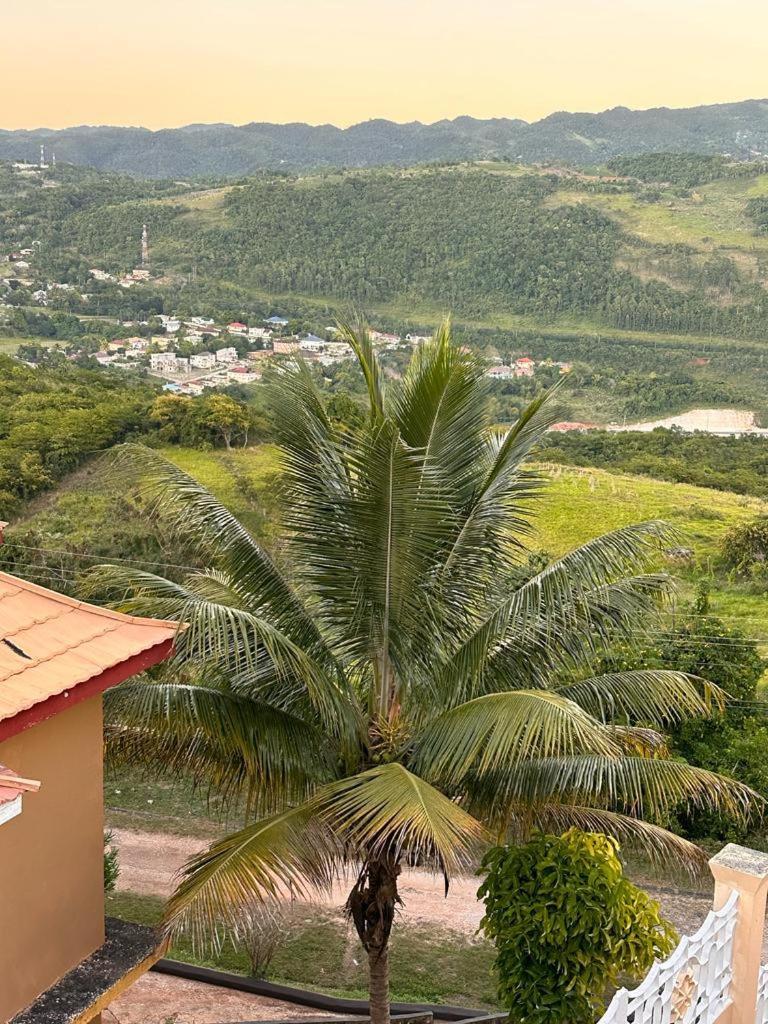 Lion'S View Bed & Breakfast 맨더빌 외부 사진